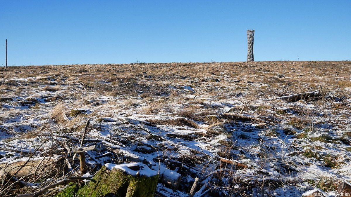 Loermecketurm-24