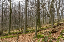 "unbeeinflusstes Wirken der Natur" (Sperber) seit 60 Jahren