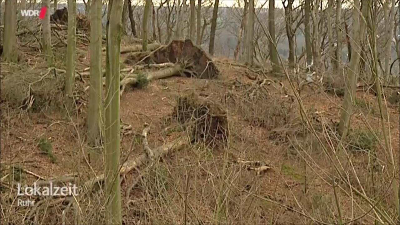 Korte_Klippe_1