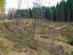 eine höchstens 10 m breite Talsohle