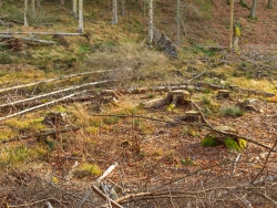 trockener Boden in der schmalen Talsohle
