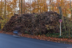 Gigantische Reisighaufen warten an der Lührmannstraße auf den Abtransport ins Heizkraftwerk. Der Wald sieht aus wie gefegt.