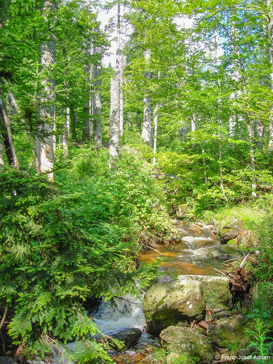 Sagwasser-3