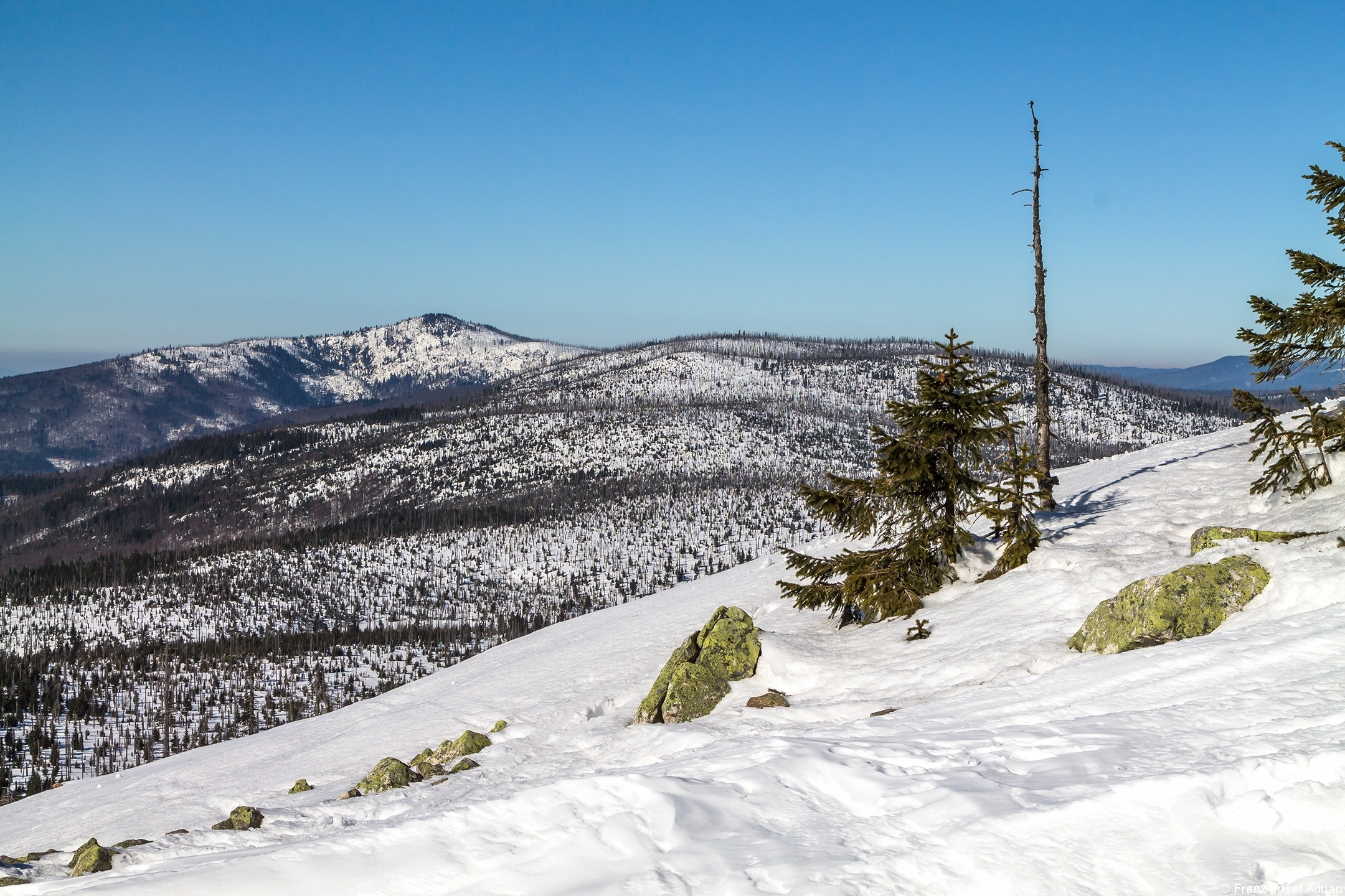 Blick vom Lusen auf den Rachel im Winter 2015