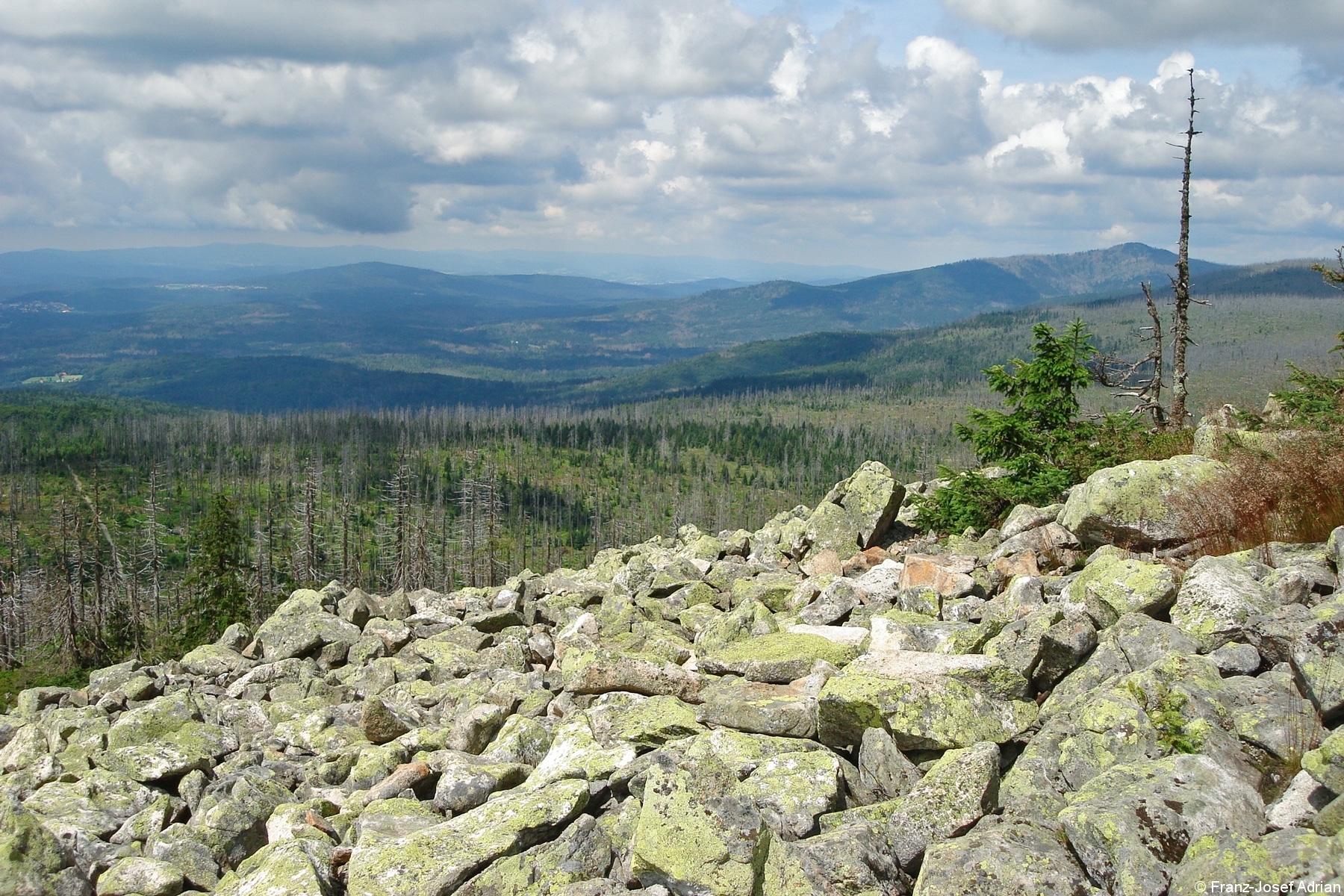 Blick vom Lusen auf den Rachel im Sommer 2009