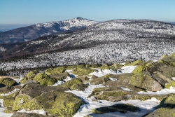 Blick vom Lusen in nordwestlicher Richtung zum Rachel