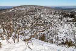 Blick vom Lusen in nördlicher Richtung zum Moorberg