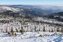 Blick vom Lusen in östlicher Richtung nach Finsterau