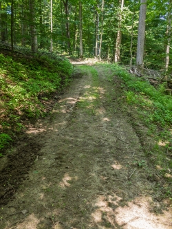kosmetisch reparierte Rückegasse