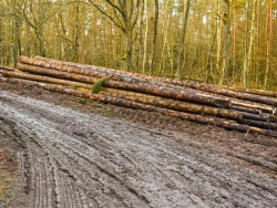 vermatschter Weg an der Kohlweghütte