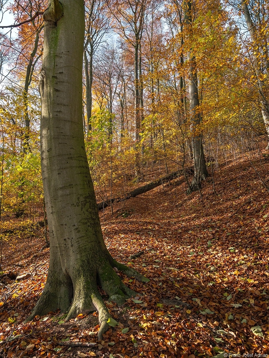 Zick-Zack-Weg_1