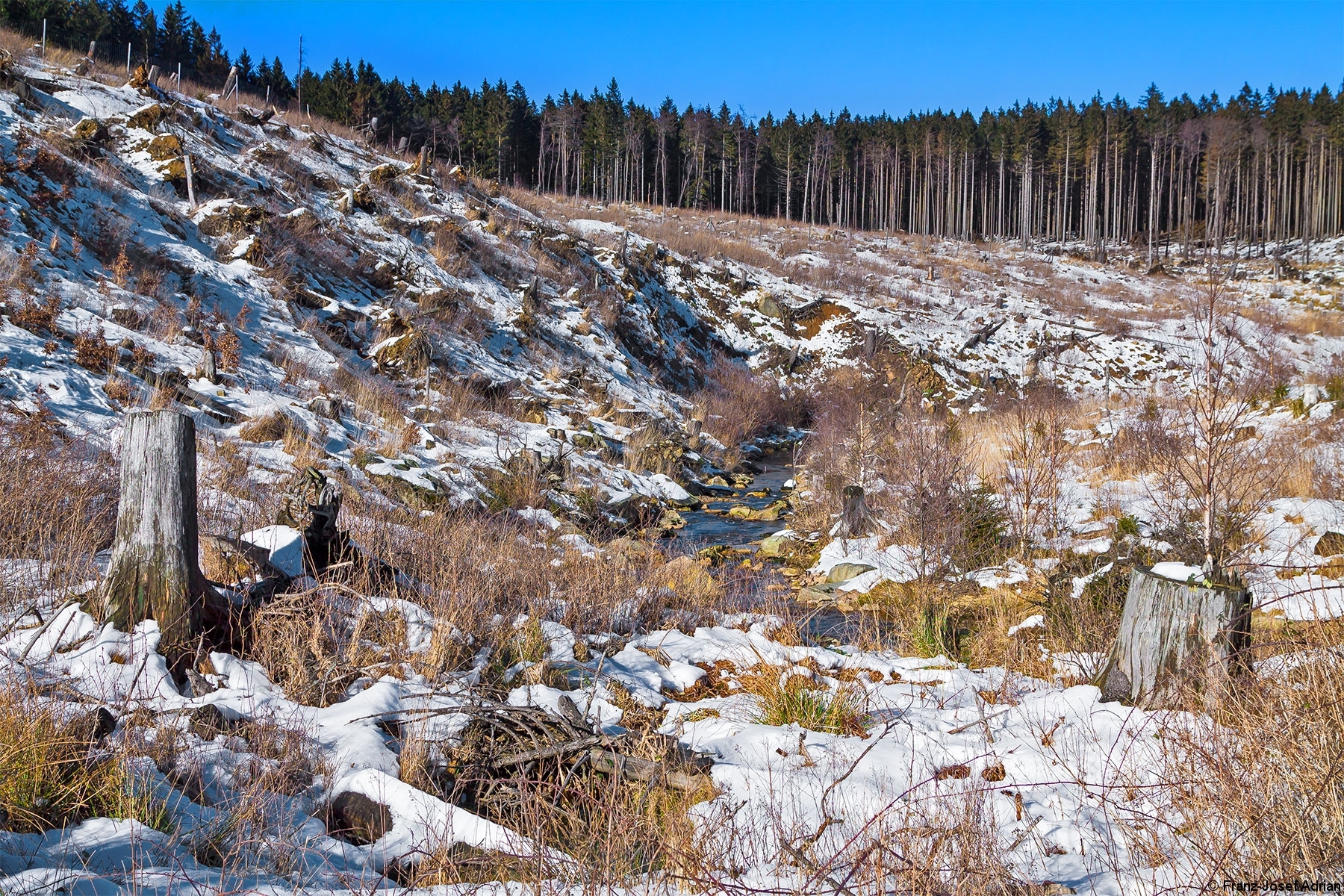 Meineckenberg_Erosion_1.jpg