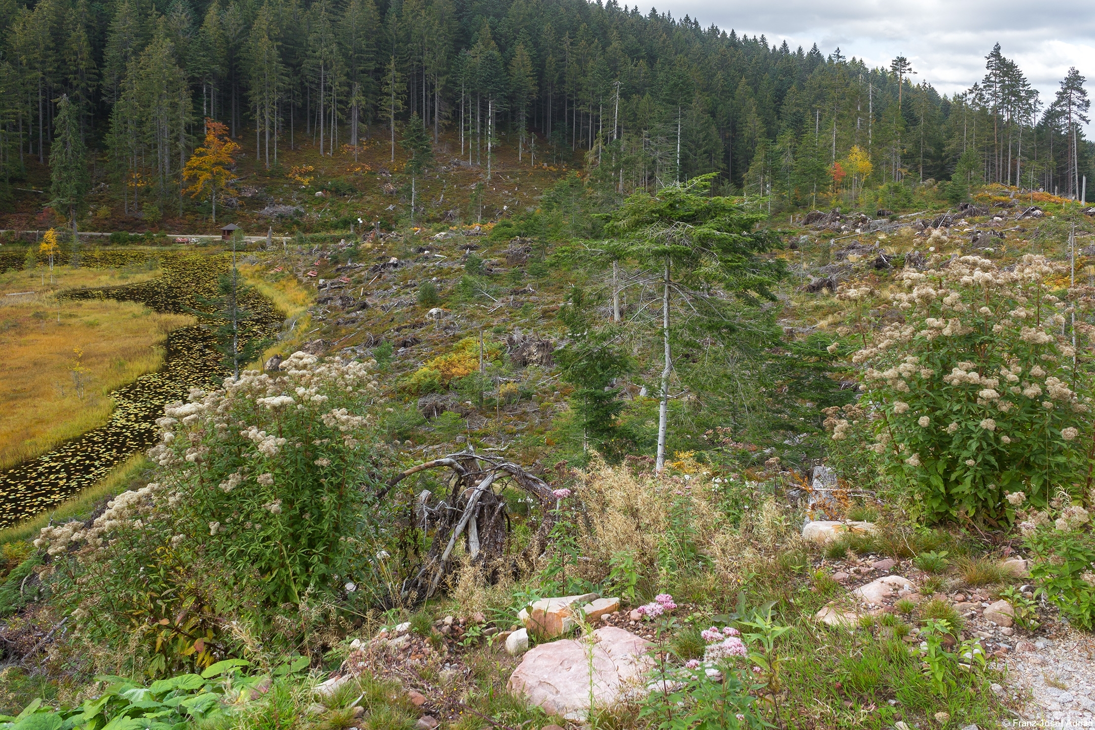 Huzenbacher_C