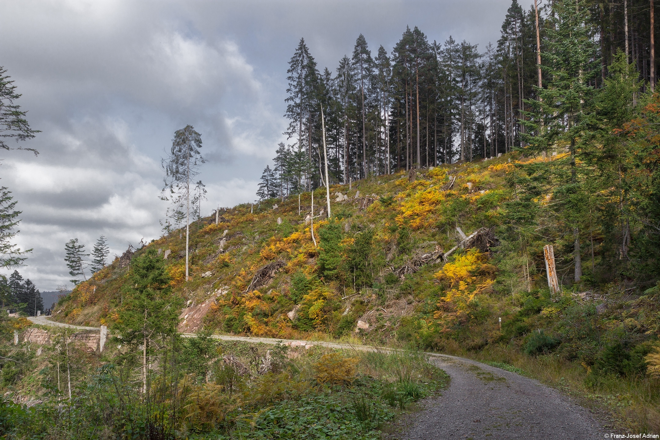 Huzenbacher_E
