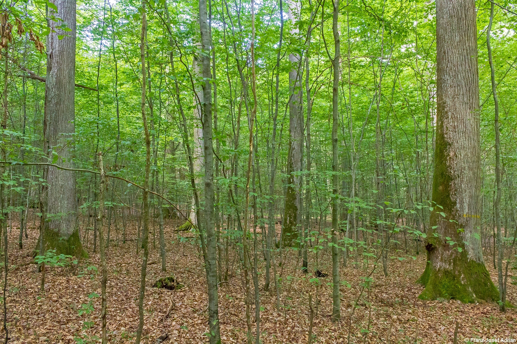 Zweischichten_01