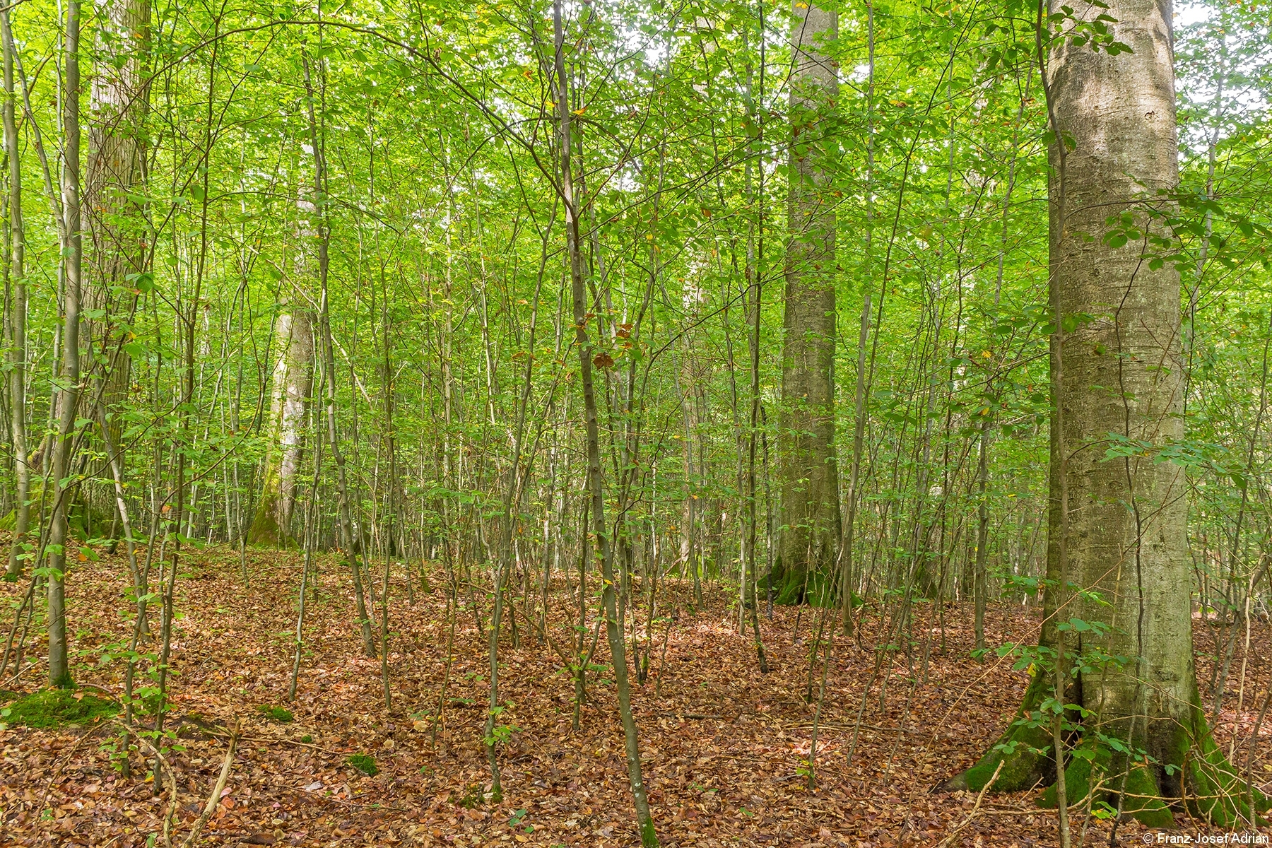 Zweischichten_02