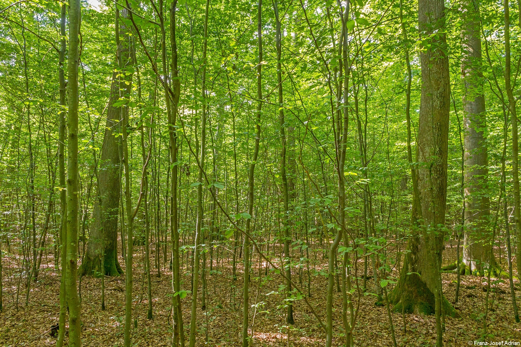 Zweischichten_04