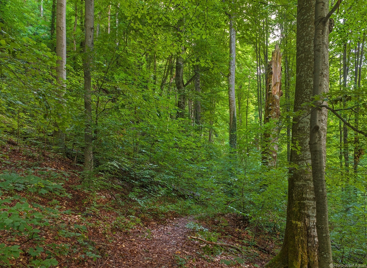 Milchsteinhoehle_01