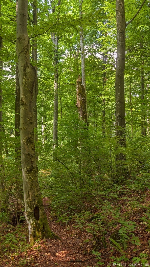 Milchsteinhoehle_02