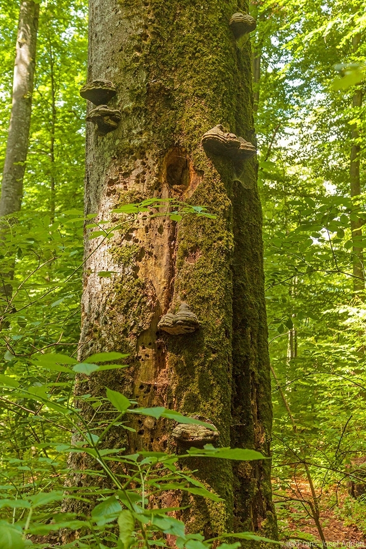 Milchsteinhoehle_03