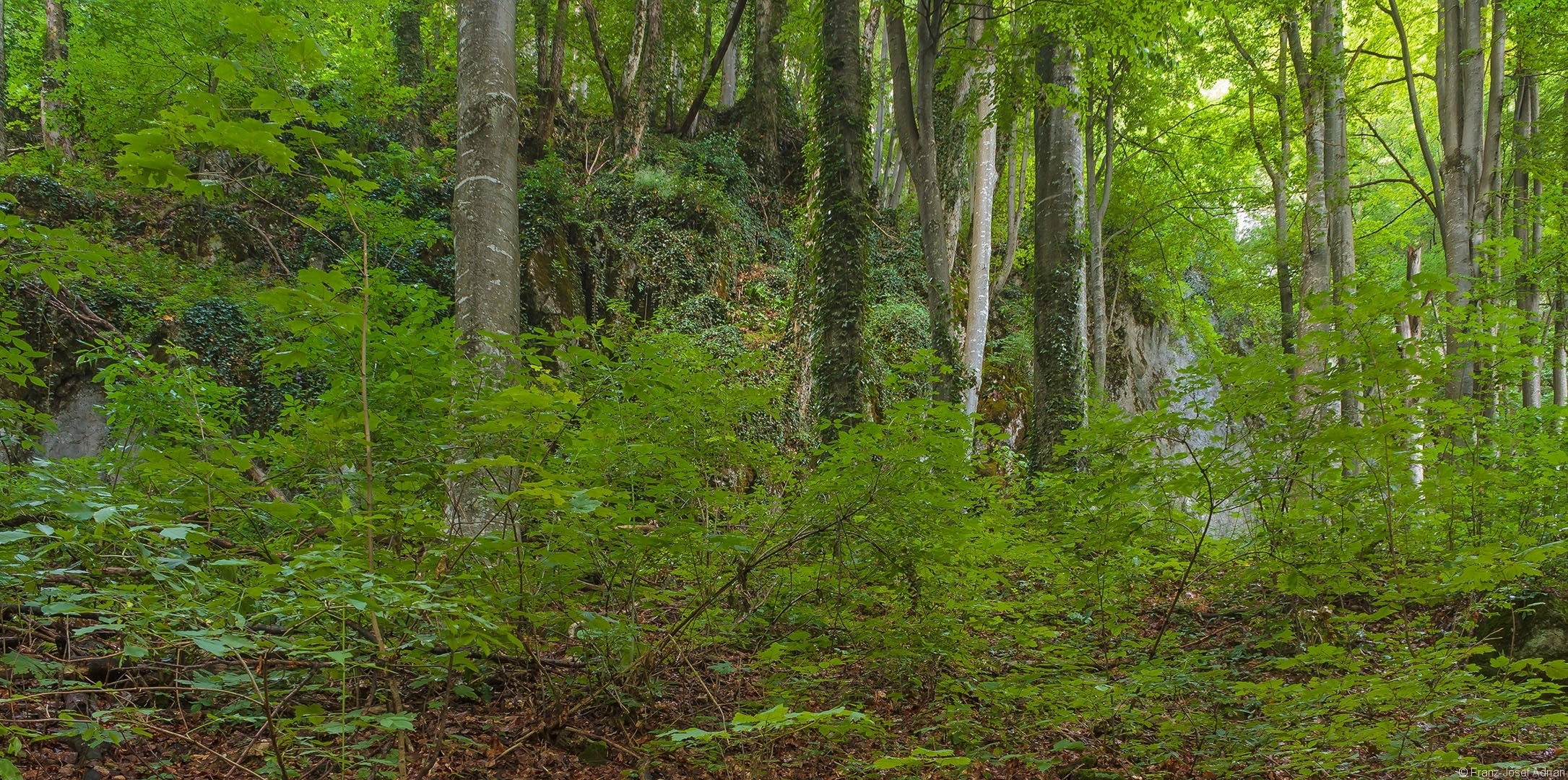 Milchsteinhoehle_04