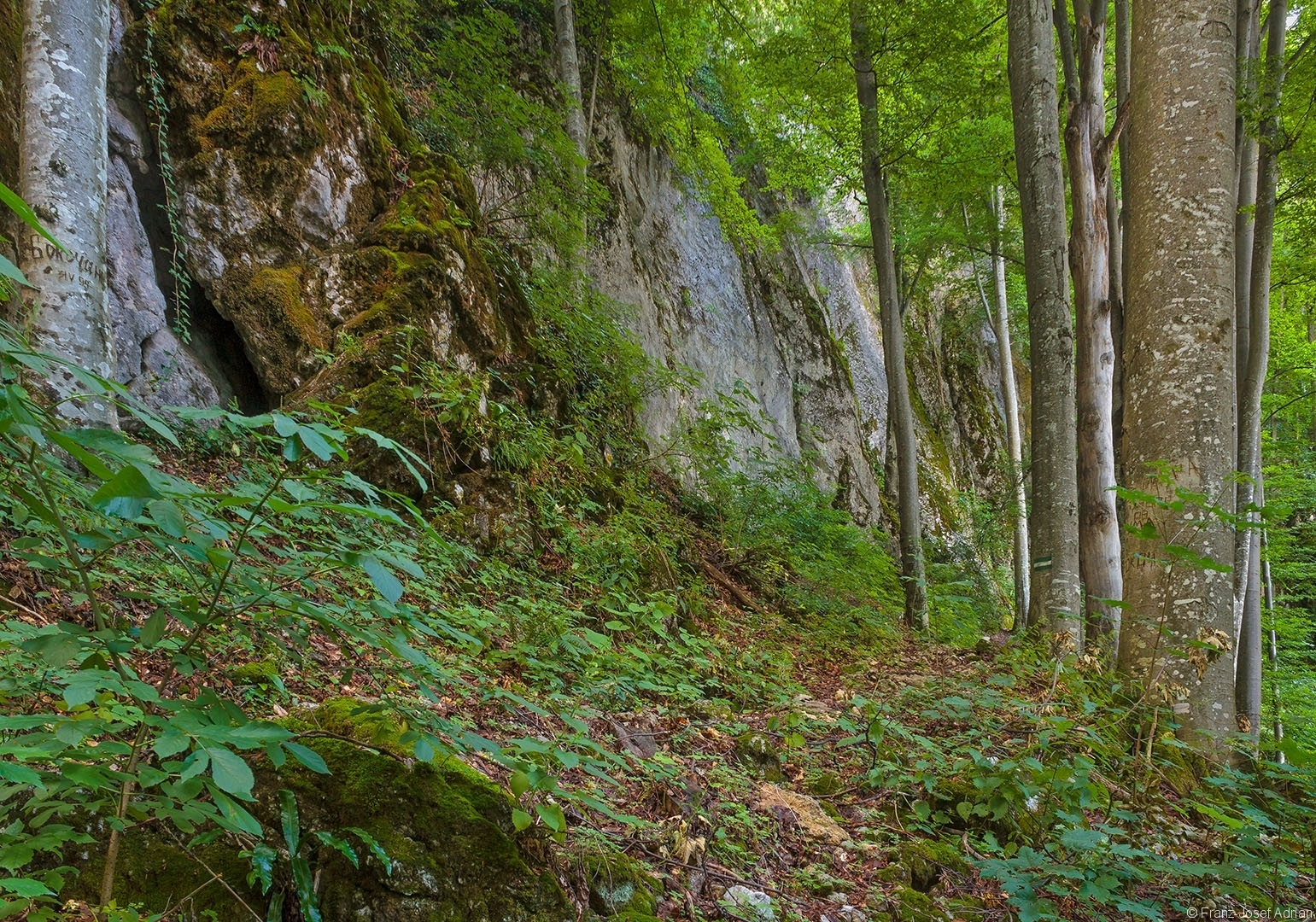 Milchsteinhoehle_05