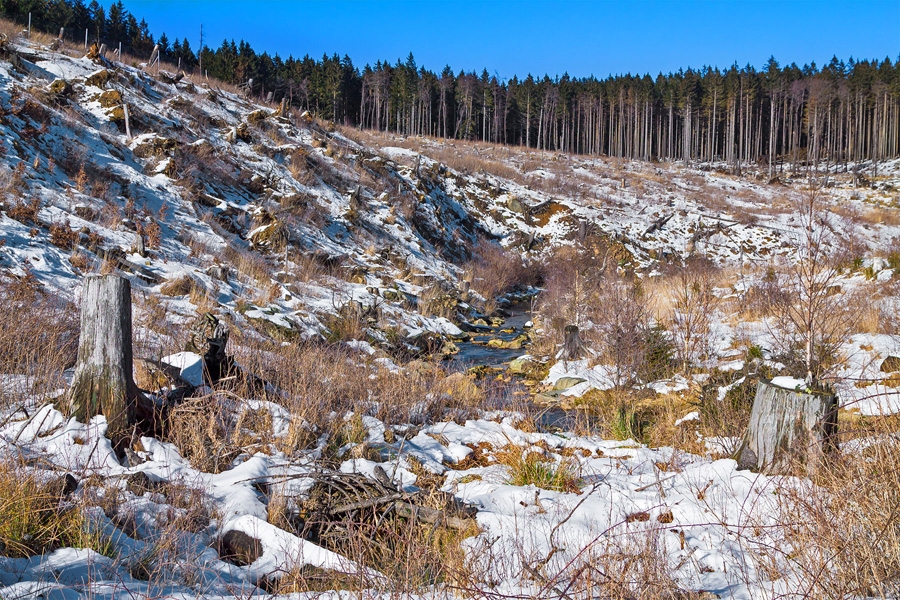 Meineckenberg_Erosion_1.jpg