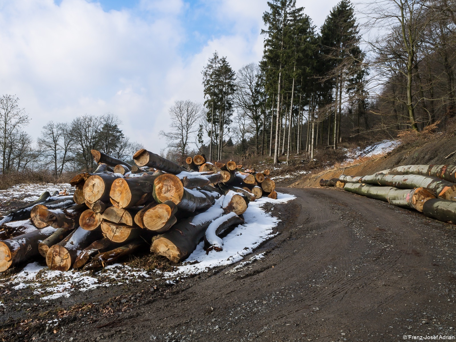 Holzlagerplatz an der Hohensteinstraße nahe Barksen