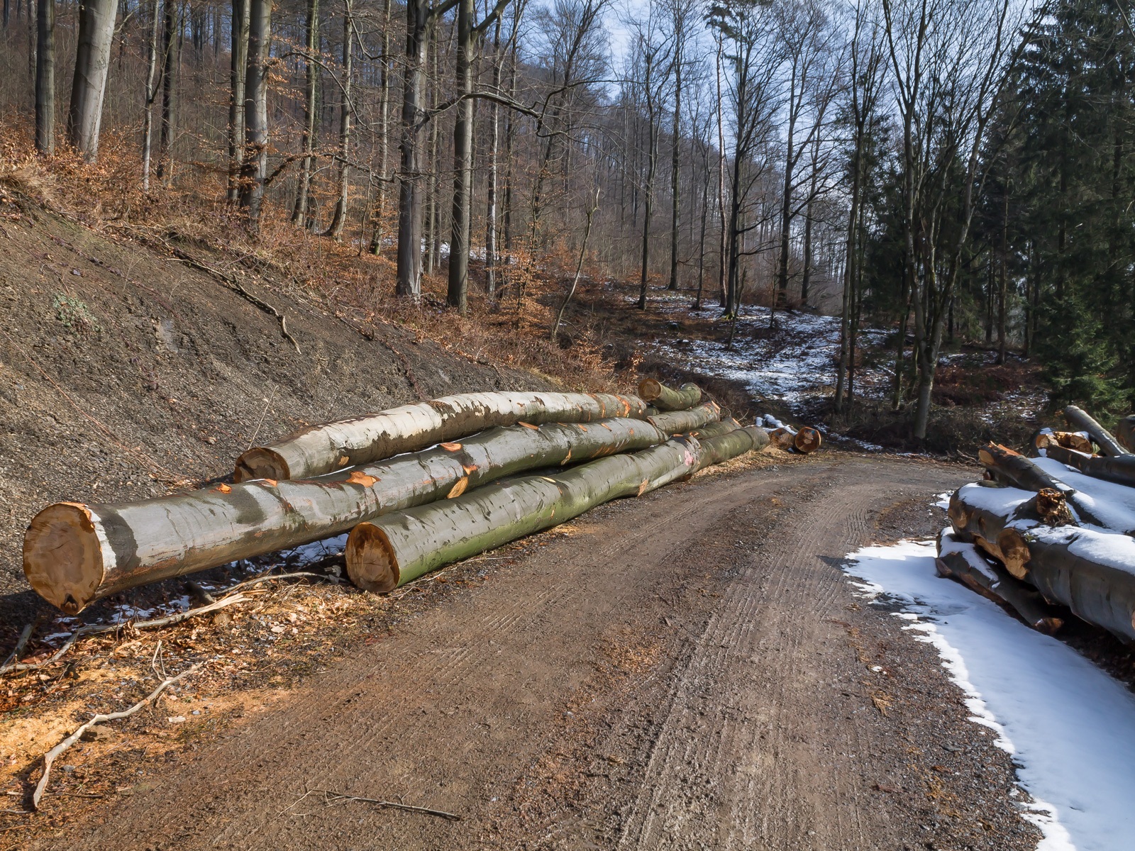 Holzlagerplatz an der Hohensteinstraße nahe Barksen