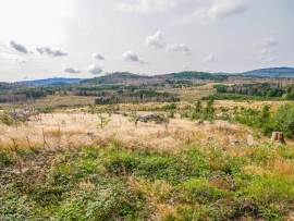 Moosklippe-4K-6