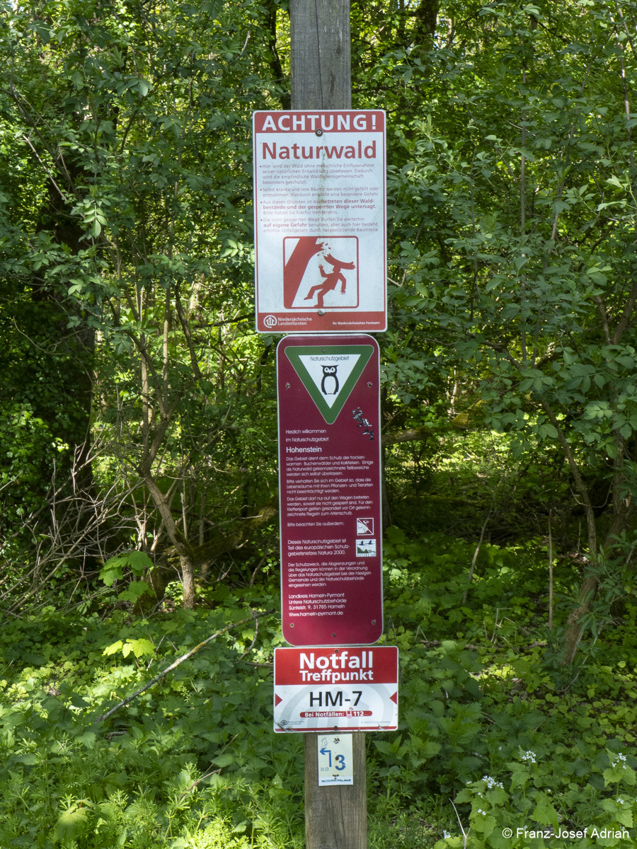 Naturwald_Schrabstein-33