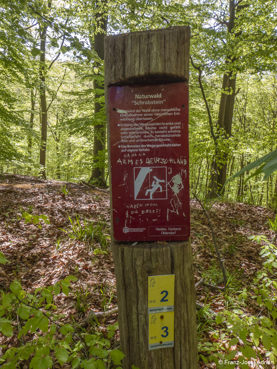 Naturwald_Schrabstein-36