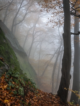 Wolfsschlucht_Nebel_02