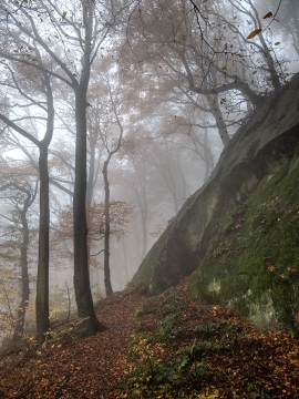 Wolfsschlucht_Nebel_03
