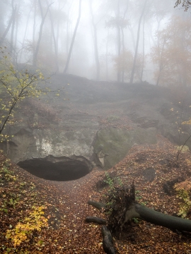 Wolfsschlucht_Nebel_04