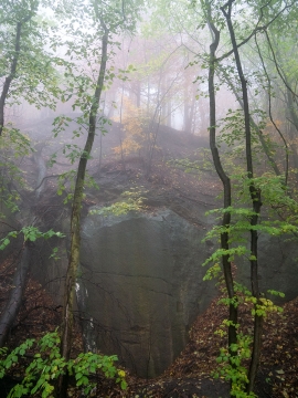Wolfsschlucht_Nebel_06