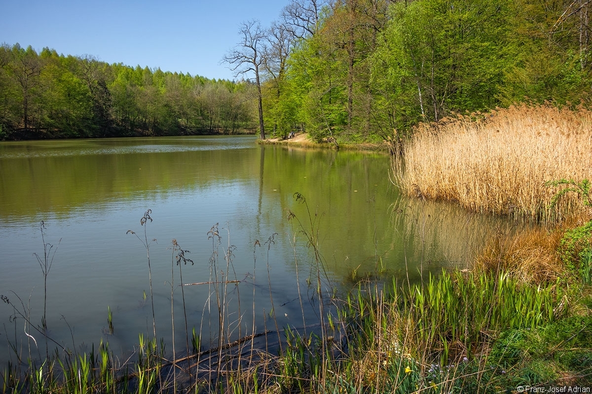 Netzbachweiher