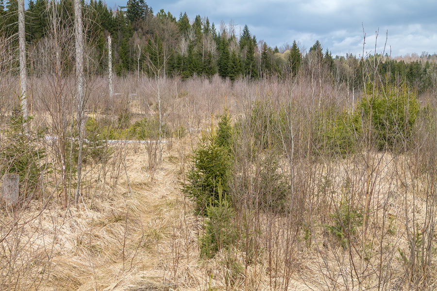 Oelbach_05.jpg