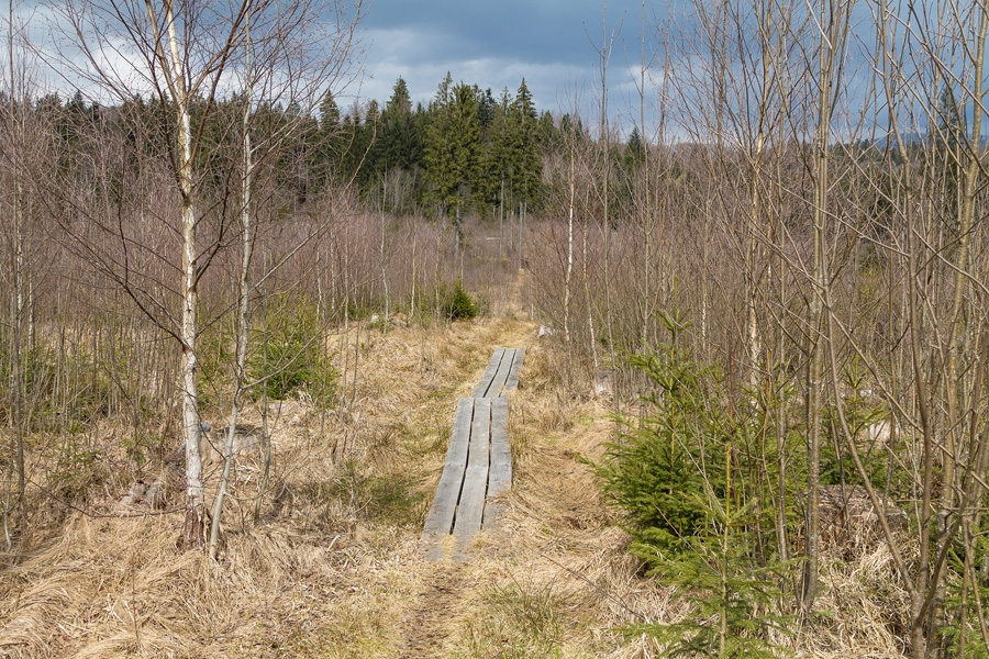 Oelbach_12
