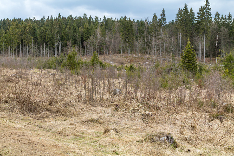 Oelbach_22.jpg