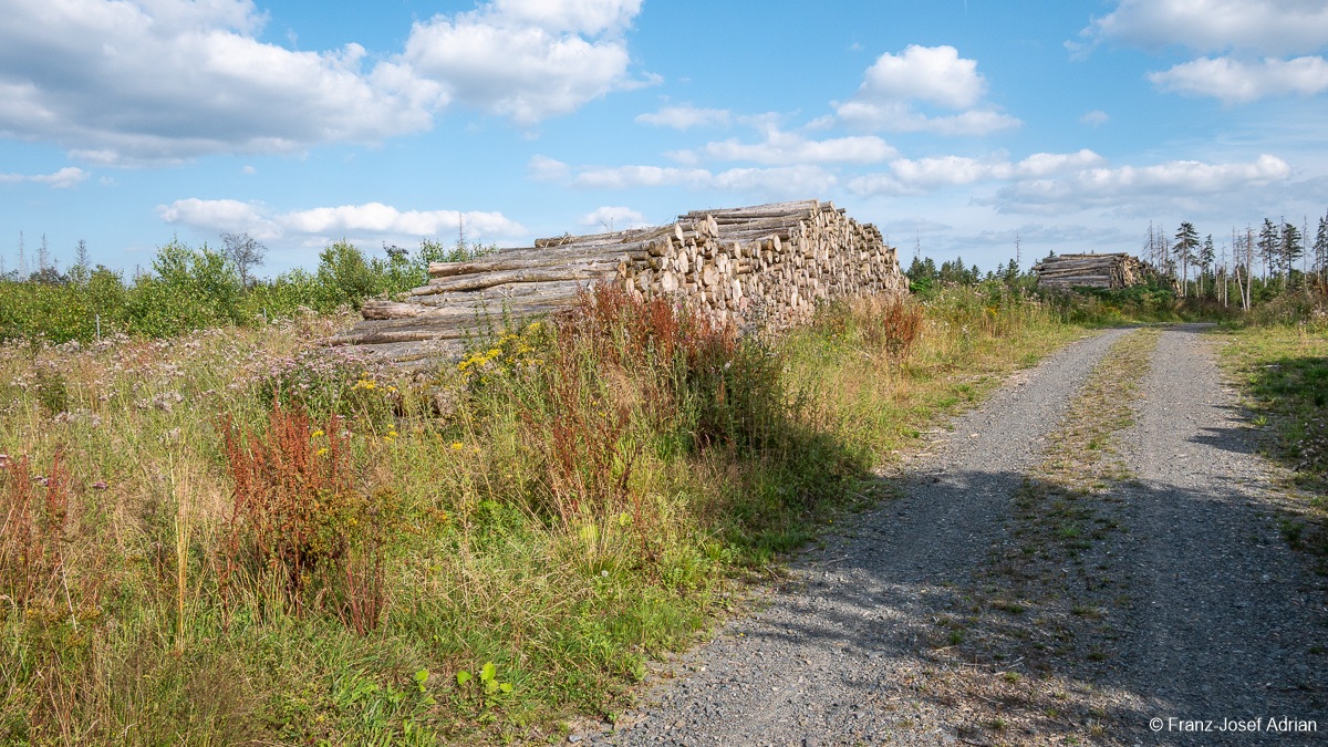 Niekopf-9