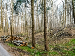 Blick von der rechten Seite