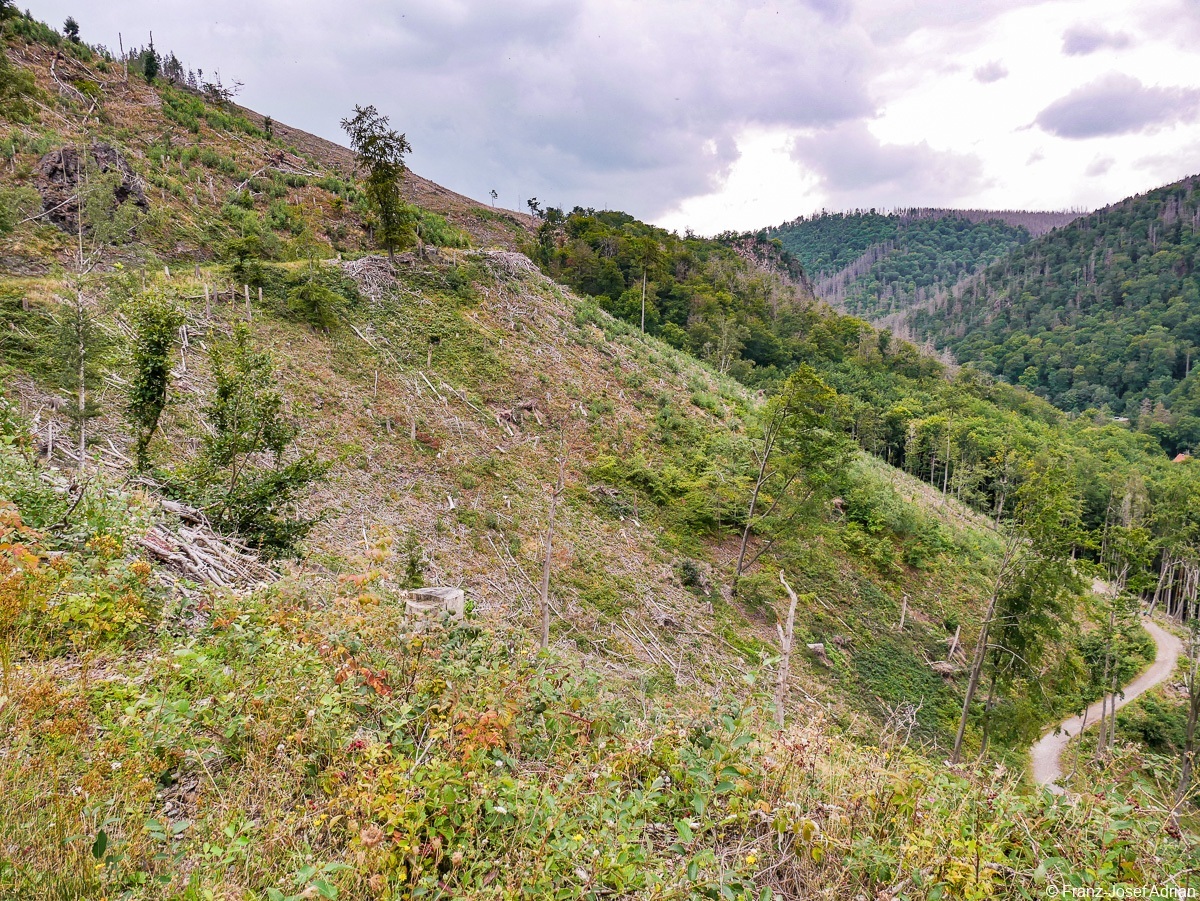 Ilsetal-Osthang-13