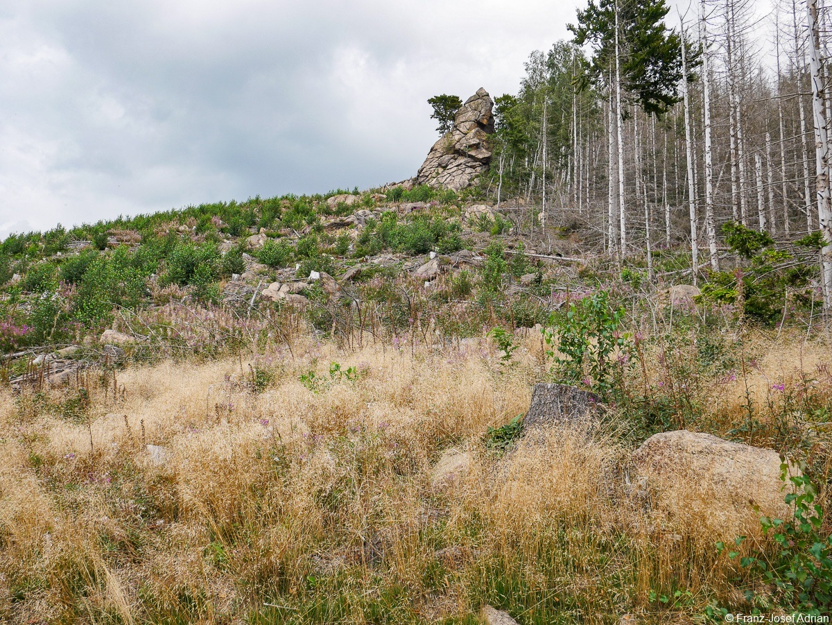 Ilsetal-Osthang-7