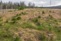 Luftbild_2
