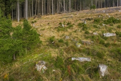 Luftbild_3