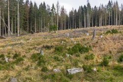 Luftbild_4