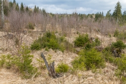 Oelbach_03.jpg