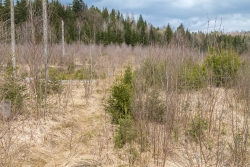 Oelbach_05.jpg