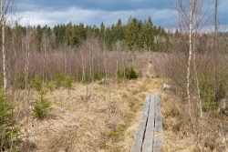 Oelbach_11.jpg
